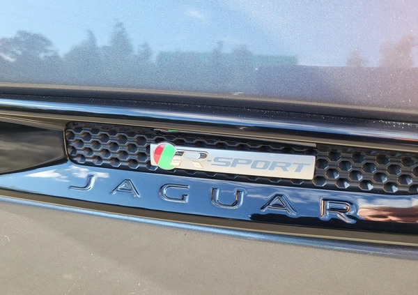 Jaguar F-Pace cena 116990 przebieg: 84000, rok produkcji 2018 z Dynów małe 781